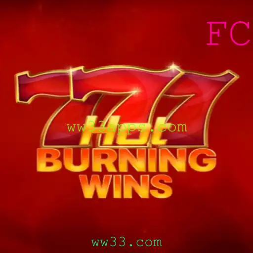 Explorando o Empolgante Mundo de HotBurningWins